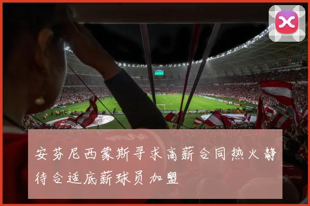 安芬尼西蒙斯寻求高薪合同热火静待合适底薪球员加盟